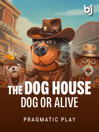 The Dog House – Dog or Alive thumbnail